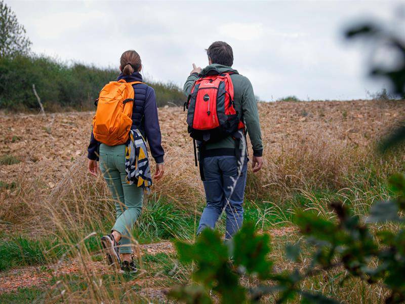 Randonnée : Chemin de Vie et des Crêtes