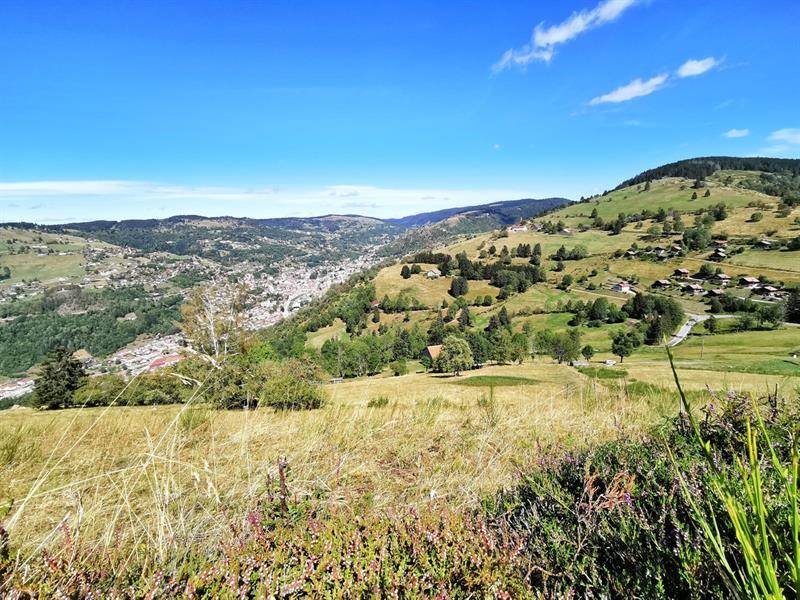 Randonnée : Trail circuit n°1 les bouchaux à La Bresse