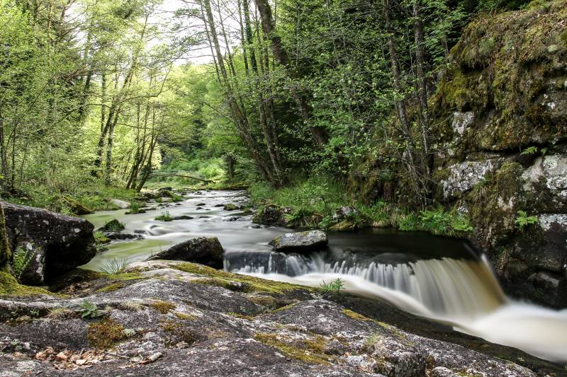 Randonnée : Le Saut du Loup