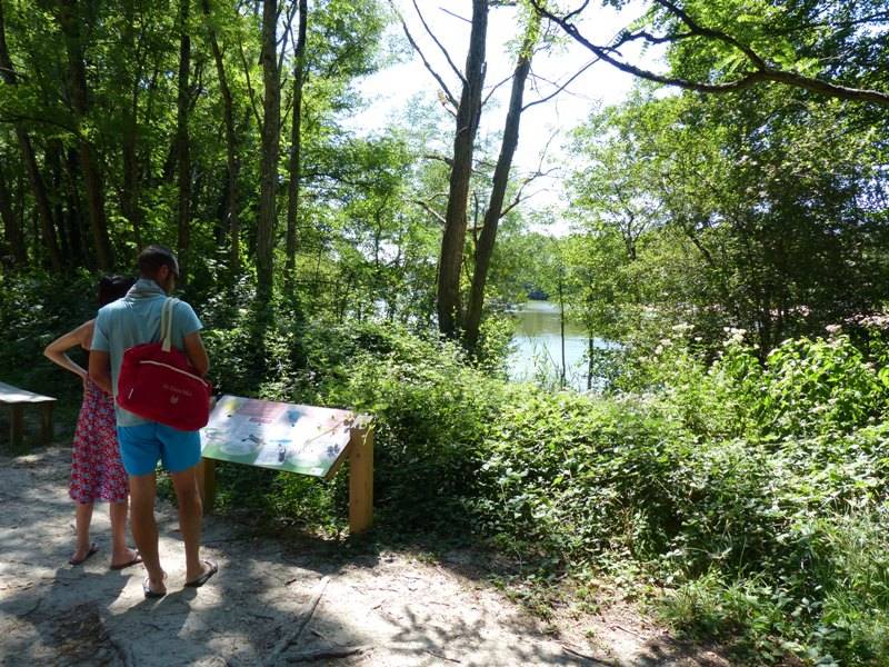 Illustration : Boucle pédestre du Lac de Saint-Christoly-de-Blaye
