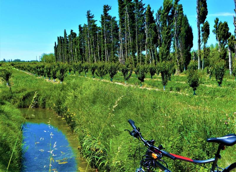 Illustration : TARASCON - La campagne provençale à vélo