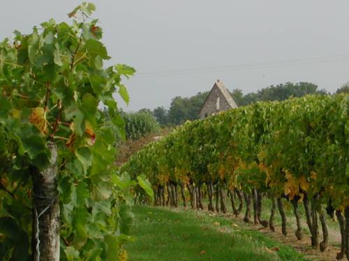 Randonnée : Loubès-Bernac, aux confins de la Gironde et de la Dordogne