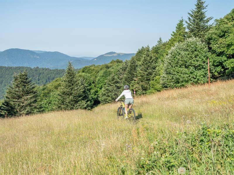 Randonnée : Circuit VTT n°30 : Le tour du Markstein