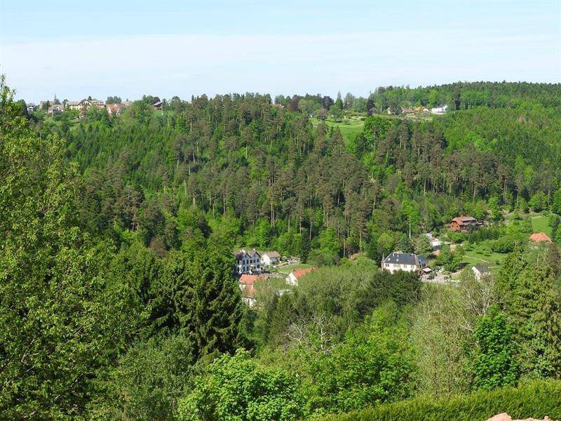 Randonnée : Circuit VTT 13 - Mossig et Vignoble