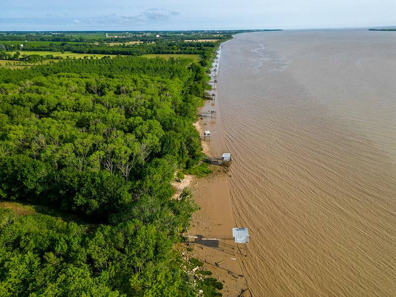 Randonnée : Chemin d'Amadour : étape 4 de Pauillac à Cussac-fort-Médoc