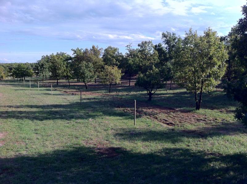 Randonnée : La route des paysages trufficoles