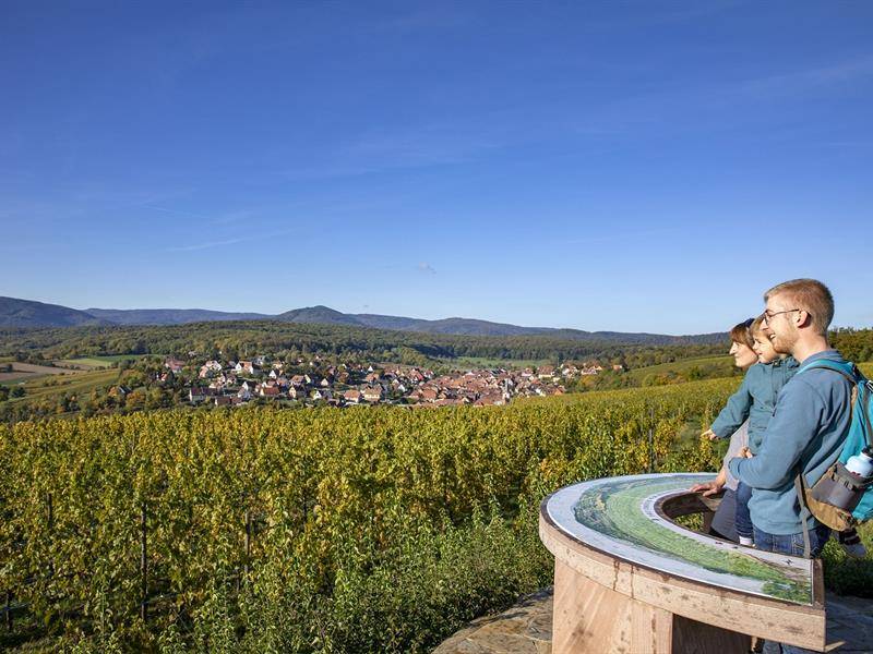 Randonnée : Circuit entre vignes et vergers