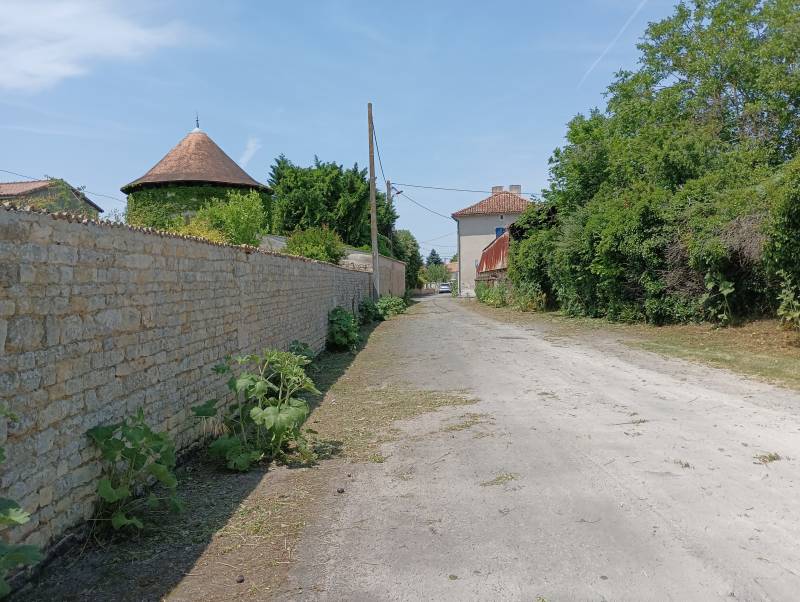 Randonnée : Nature cachée - Chef-Boutonne