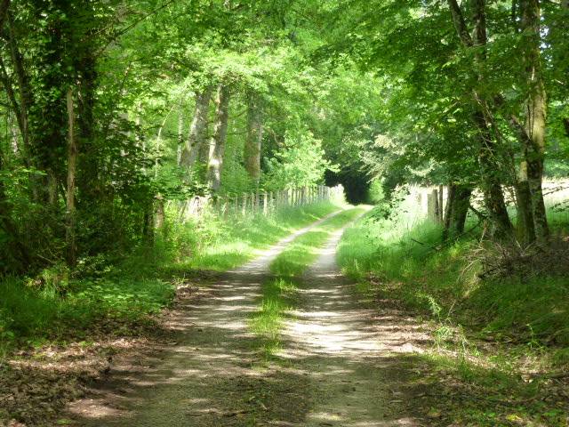 Randonnée : Le Martoulet