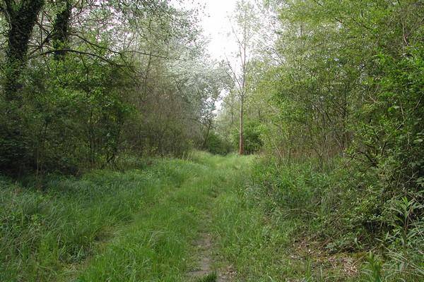 Randonnée : Le sentier des Ducs