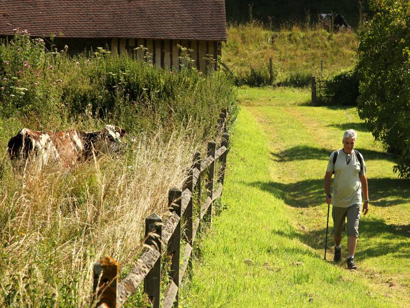 Randonnée : AUQUAINVILLE : La boucle Saint-Aubin - 5,8KM