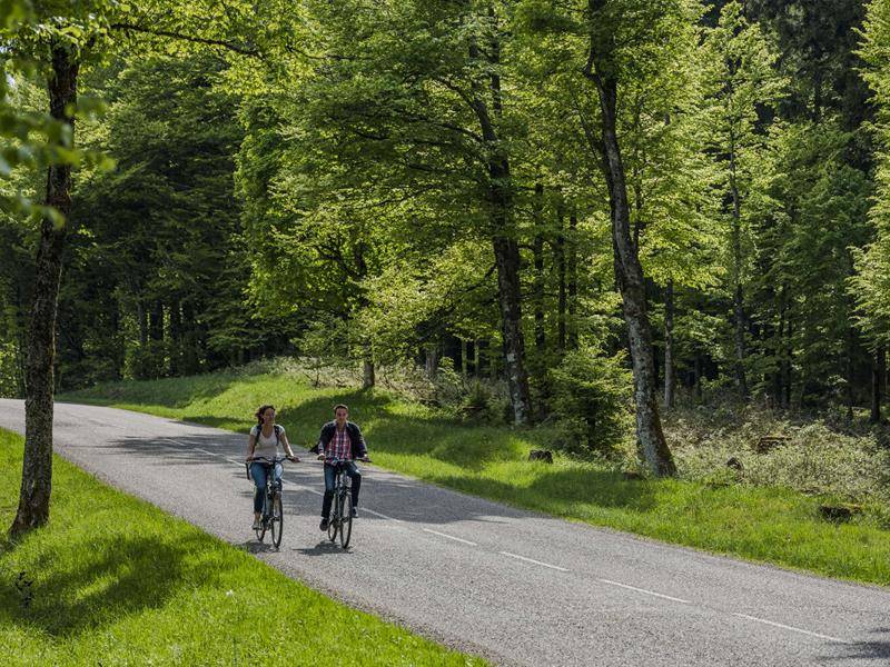 Randonnée : Circuit VTT C25 : Sur les hauteurs de Schirmeck VARIANTE