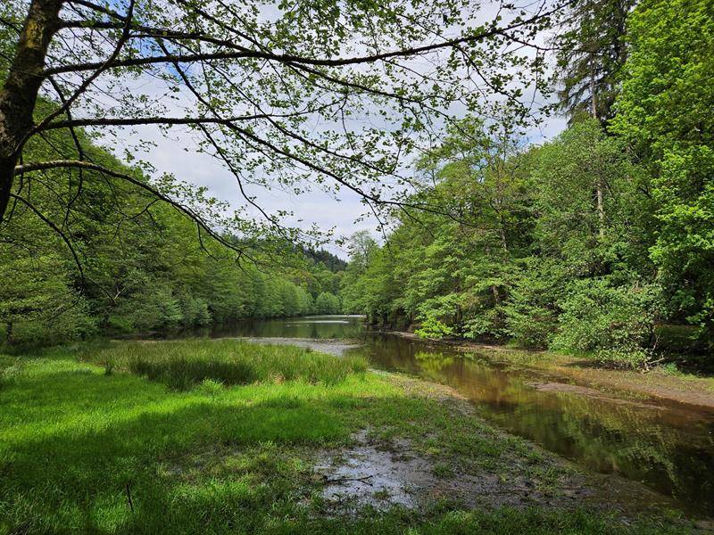 Randonnée : Sentier poétique René Char