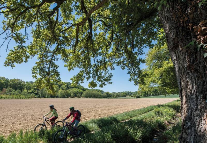 Randonnée : Arzacq-Arraziguet : de la bastide à la forêt à VTT