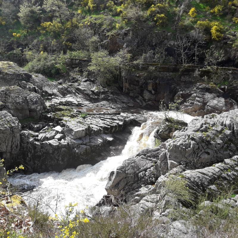 Randonnée : Puy Morel - Saut de la Saule - 12 km