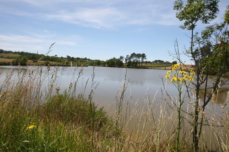 Randonnée : A Saint-Cricq-Chalosse, circuit de Pédouhaout