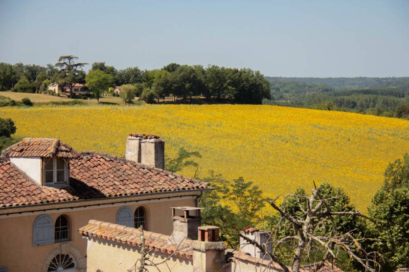 Randonnée : Nérac vers Mézin, pas à pas dans l’Histoire