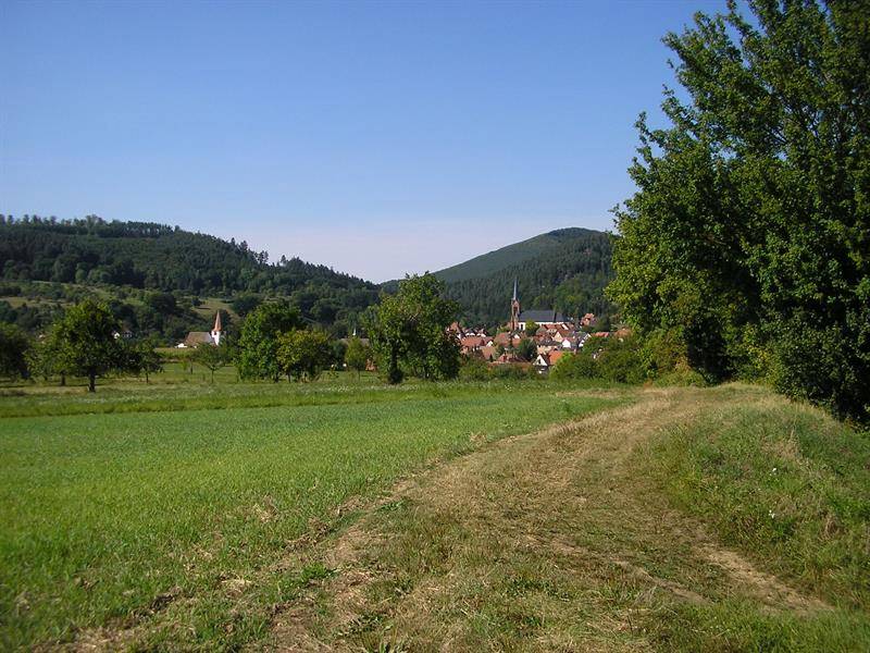 Randonnée : Circuit des Celtes