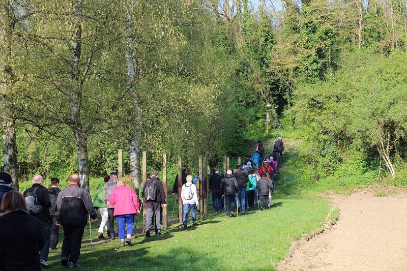 Randonnée : Sentier pédestre : Les hauts du canton