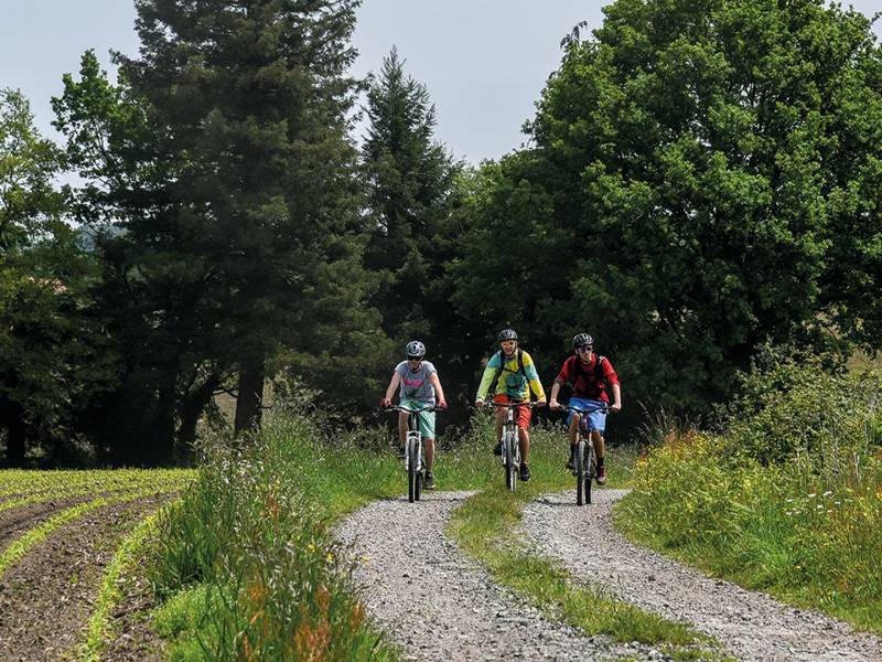Randonnée : Ouillon : chemin des bergers à VTT