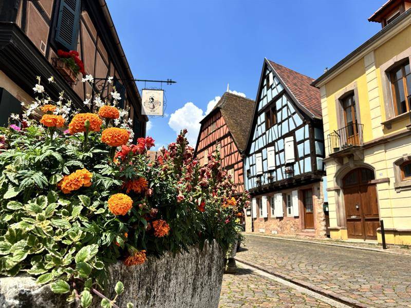 Randonnée : Circuit rando - de Kaysersberg à Kientzheim par les vignes