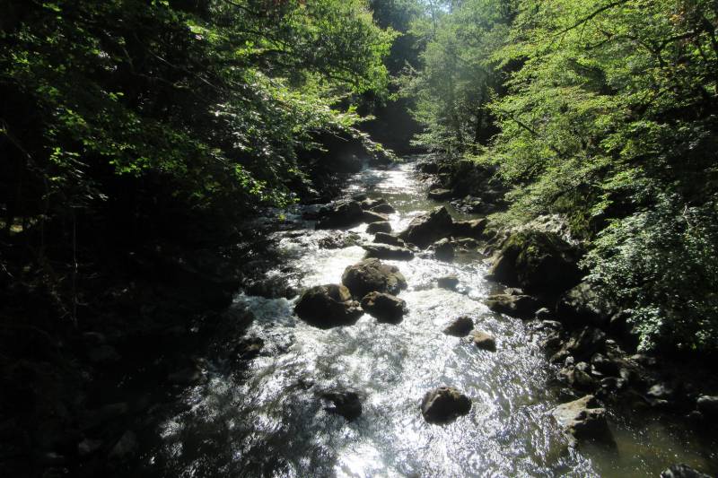 Randonnée : Pêcher sur l'Auvézère à Saint-Mesmin