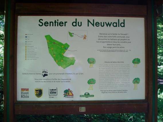 Randonnée : Sentier d'interprétation de la forêt du Neuwald