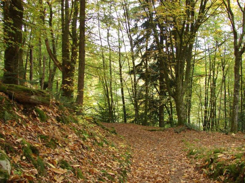 Randonnée : Sentier des carrières