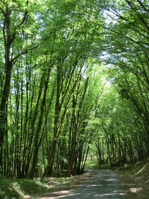 Randonnée : Le circuit de Trousse Brune à La Roche-Chalais