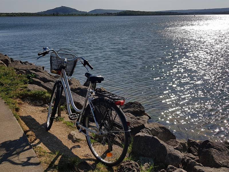 Randonnée : Tour du lac de Madine