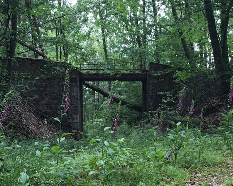Randonnée : Randonnée - la vallée de la semouse