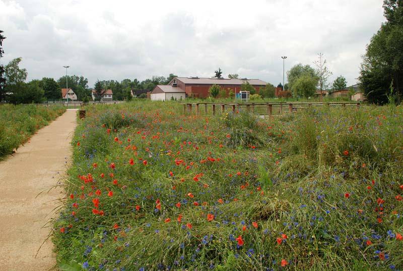 Randonnée : Randonnée Les terrasses de la Bruche