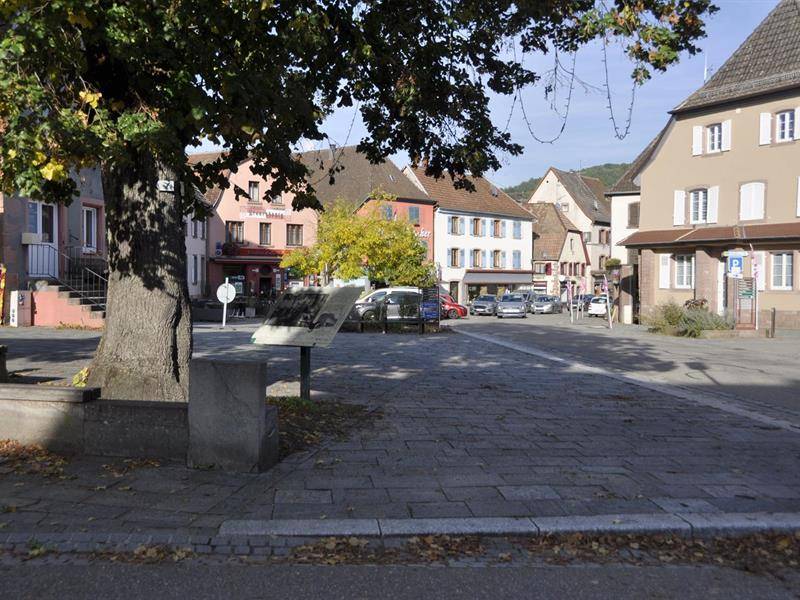 Randonnée : Balade ludique à Villé