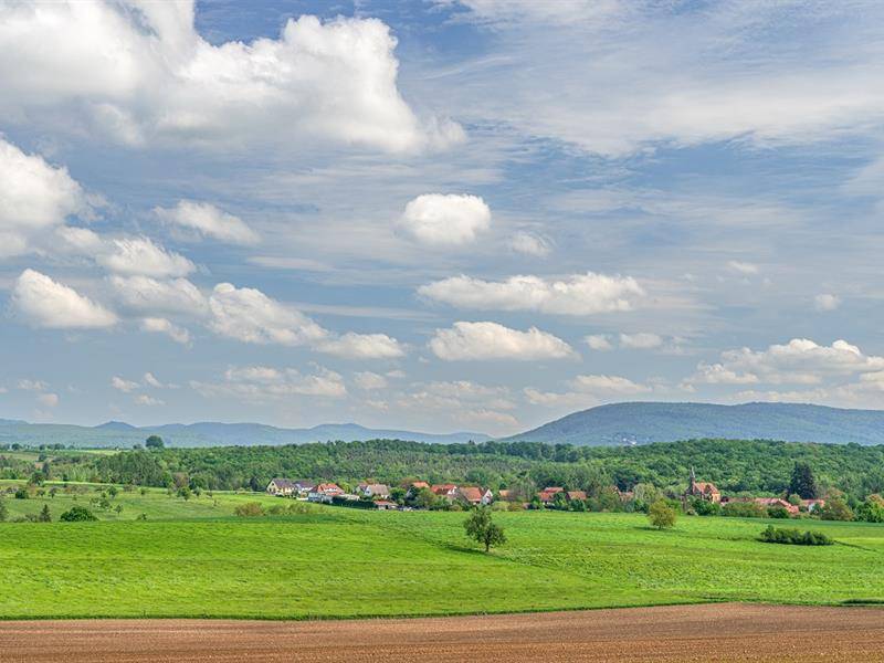 Randonnée : Promenade autour de Schirlenhof