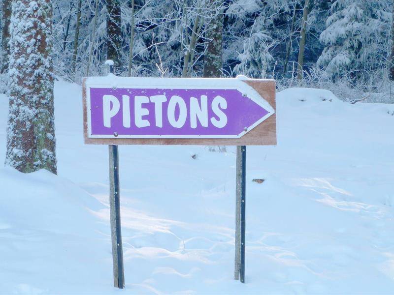 Randonnée : Sentier piéton du Champ du feu