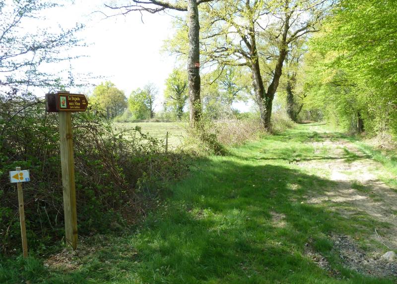 Randonnée : La Bujade Aux Fées / Boucle 1