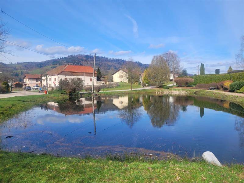 Randonnée : Circuit poussette de Rupt sur Moselle