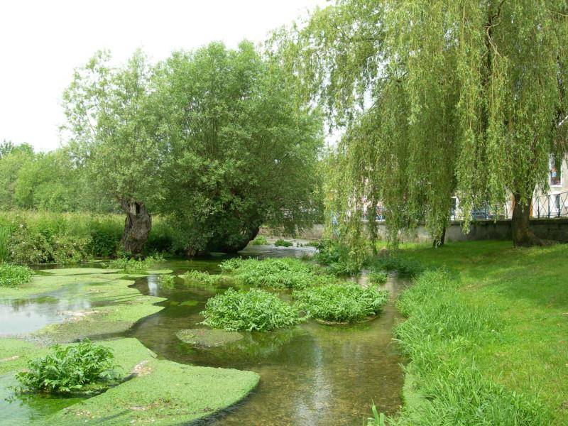 Randonnée : Circuit famille - un détour dans la Plaine