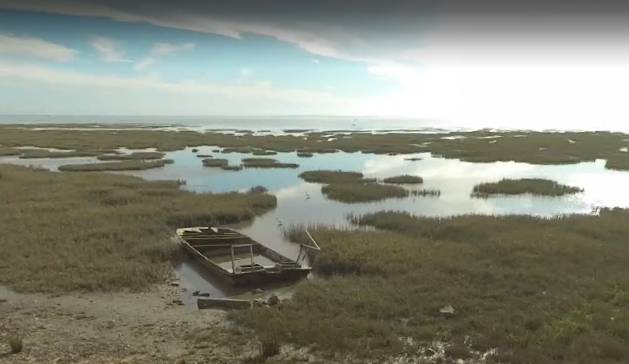 Randonnée : GRP Tour du Bassin d’Arcachon - De Biganos à Lège en écomobilité