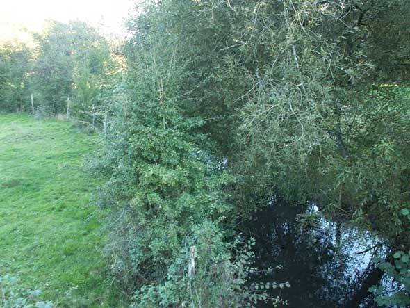 Randonnée : Sentier du Cornac et du Cibiou