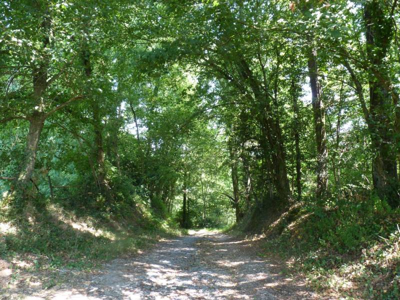 Randonnée : Astis : les Barthouils