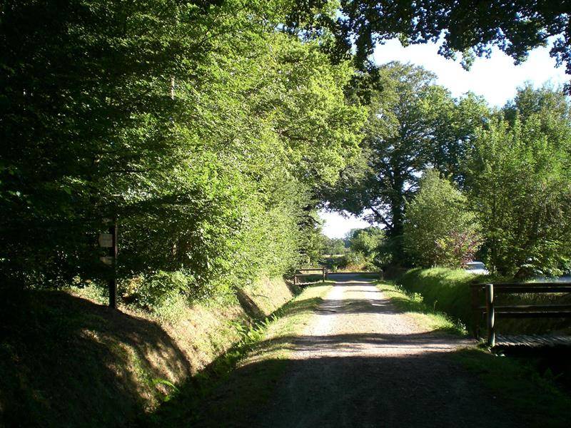 Randonnée : Promenons-nous dans les bois... de Saint-Sauveur-le-Vicomte