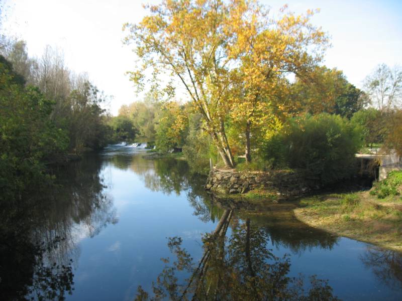 Randonnée : Des Bords de Vienne à la forêt de Châtellerault