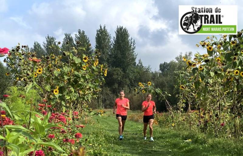 Randonnée : La Quarantaine - Station de Trail