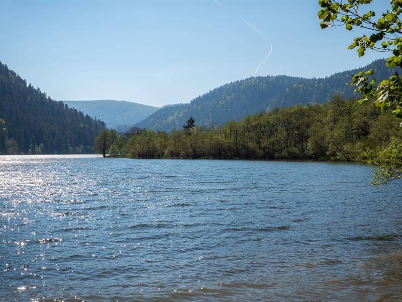 Randonnée : Boucle Patrimoine n°20 - La Vallée des Lacs