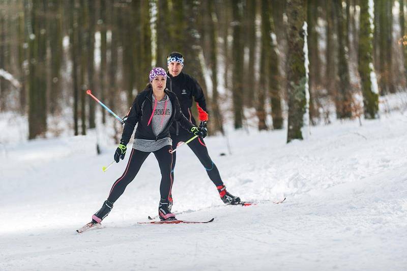 Randonnée : Piste de ski de fond La Lochère