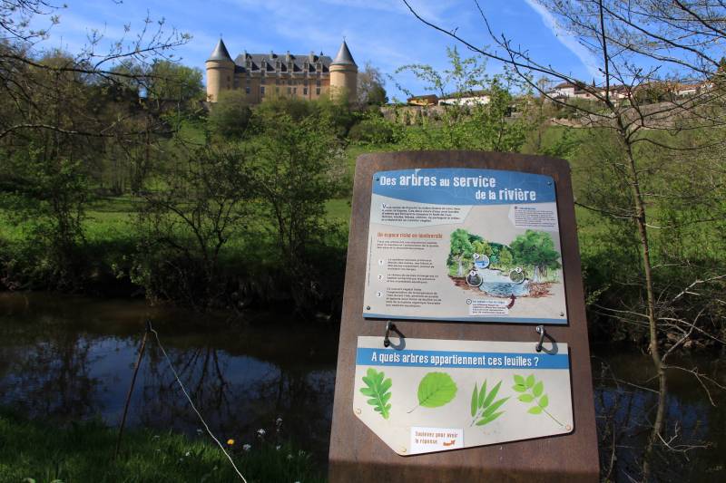 Randonnée : Sentier d'interprétation de l'étang