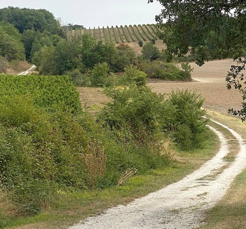 Randonnée : Boucle de Saint Julien