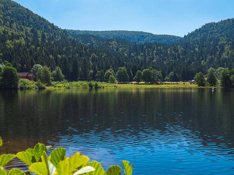 Randonnée : Balade du Tour du lac de Retournemer