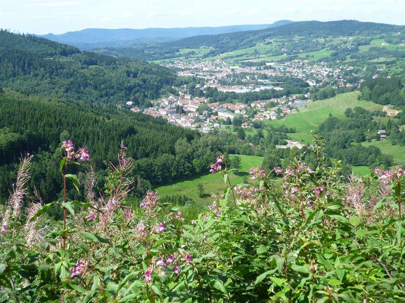 Randonnée : Circuit pédestre - Tour de Bramont